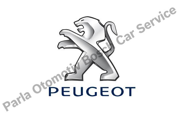Ankara Peugeot Servisi